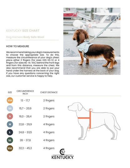 Kentucky Dog - Sele - Harness Body Safe Wool - Lyseblå - animondo.dk - 42638 - 61 - L