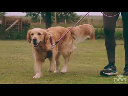 Dog Copenhagen Line - "Urban Freestyle" - Rød