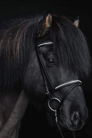 Top Reiter - "DEMANTUR" Engelsk Næsebånd - Sort/Hvid - animondo.dk - NR - DM - EK - WH