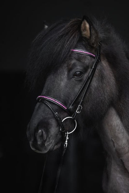 Top Reiter - "DEMANTUR" Engelsk Næsebånd - Sort/Pink - animondo.dk - NR - DM - EK - PI