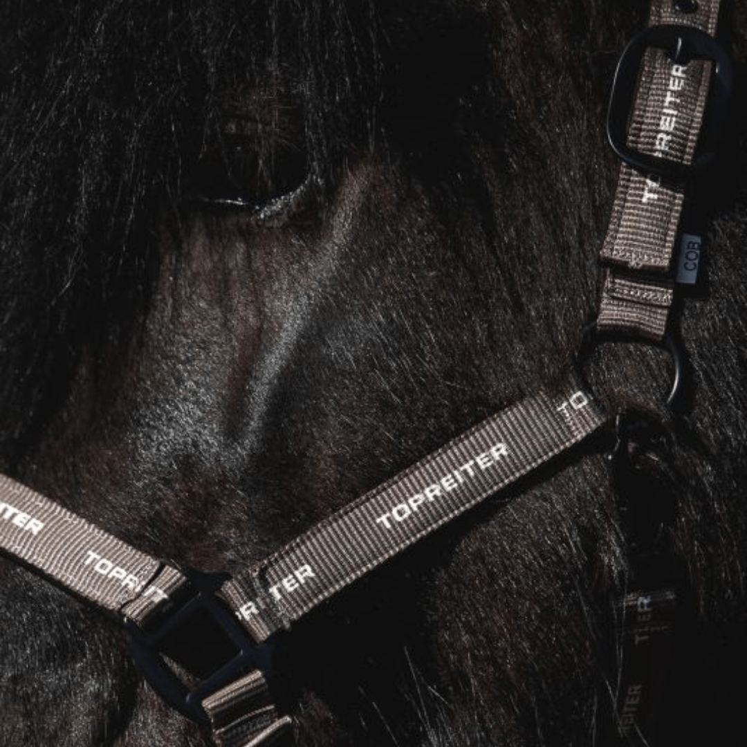 Top Reiter - Logo Grimesæt - Trøffelbrun - animondo.dk - HAL - STR - TR - LG - TBR