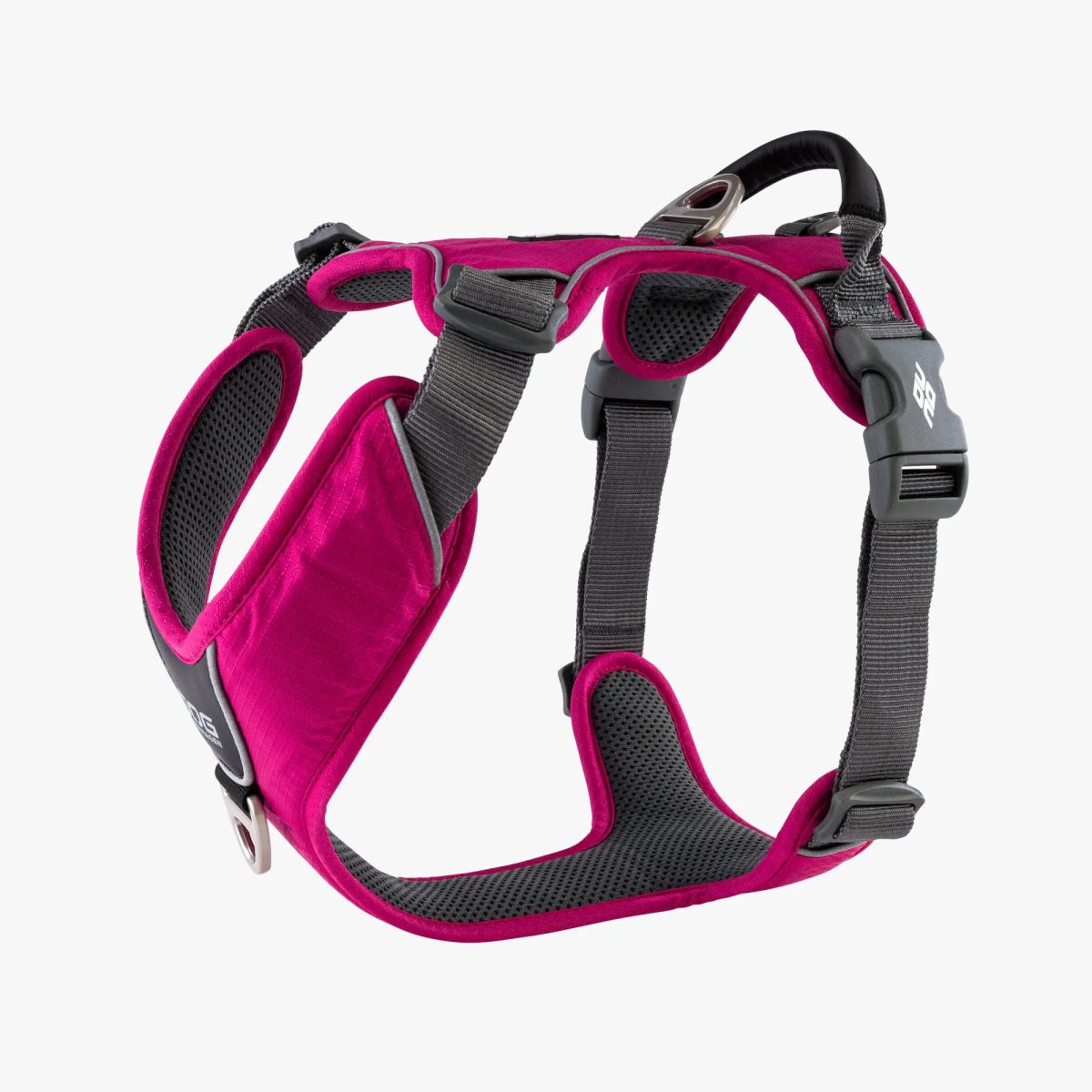 Dog Copenhagen Comfort Walk Pro™ Sele - Wild Rose - animondo.dk