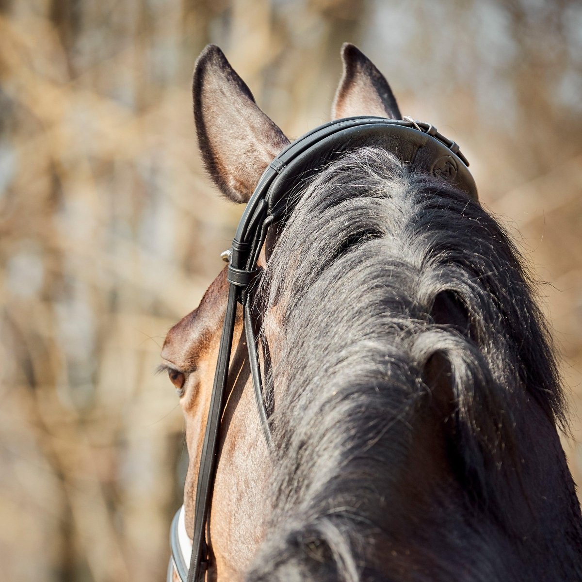 Finesse Bridles Cayenne Trense, flad m. bredt næsebånd - sort/hvid/lak/sølv - animondo.dk