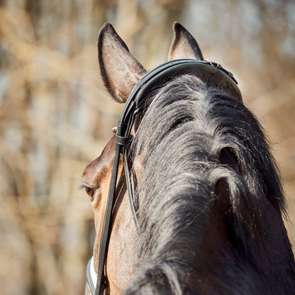 Finesse Bridles Cayenne Trense, flad m. bredt næsebånd - sort/hvid/lak/sølv - animondo.dk