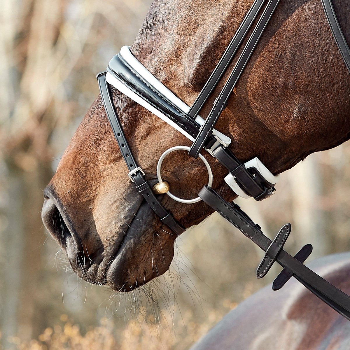 Finesse Bridles Cayenne Trense, flad m. bredt næsebånd - sort/hvid/lak/sølv - animondo.dk