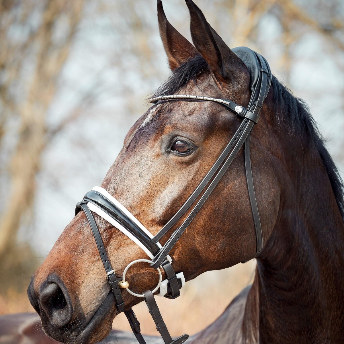 Finesse Bridles Cayenne Trense, flad m. bredt næsebånd - sort/hvid/lak/sølv - animondo.dk