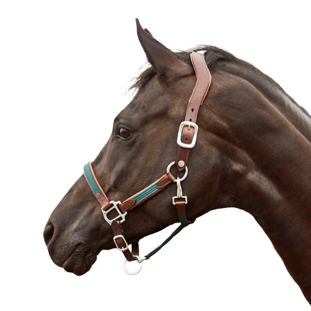 Finesse Bridles Grime - brun/mørkegrøn - animondo.dk