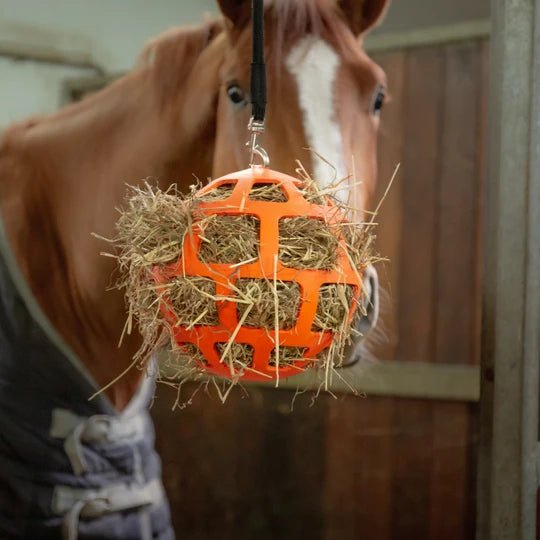 Hay Slowfeeder fun and flex 22 cm Orange Ball - animondo.dk