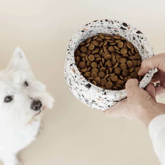 Kentucky Dog Bowl Terrazzo Stone - Hvid - animondo.dk