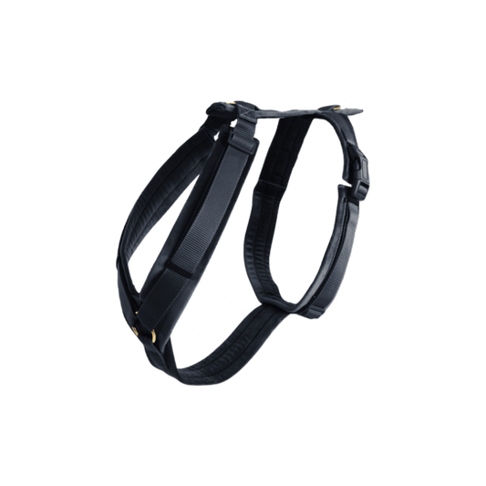 Kentucky Dog Harness Active Velvet - Sort - animondo.dk