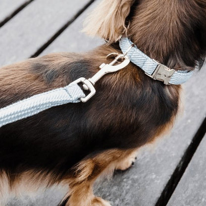 Kentucky Dog Lead Wool - Lyseblå - 2m - animondo.dk