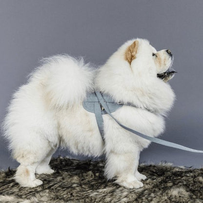 Kentucky Dog Lead Wool - Lyseblå - 2m - animondo.dk