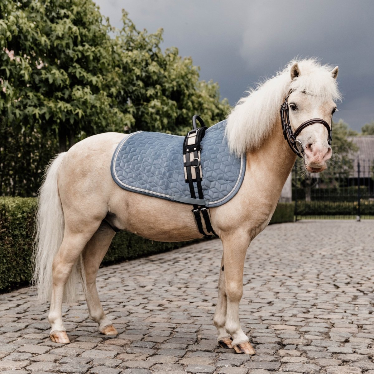Kentucky Horsewear Velvet Pony Sadelunderlag - Lyseblå - animondo.dk