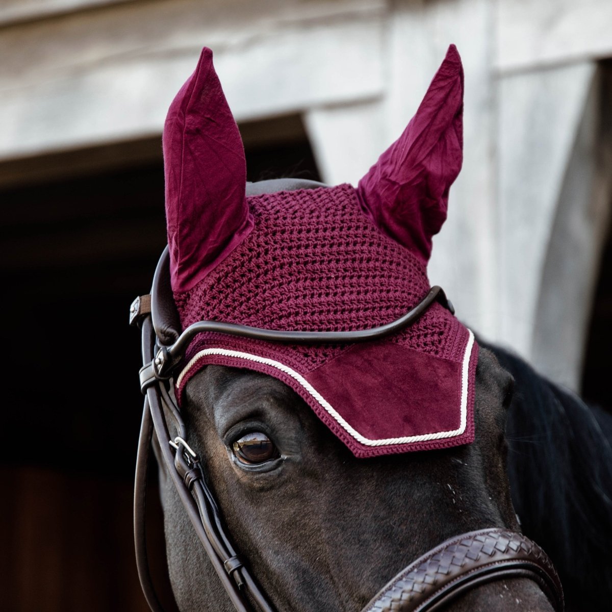 Kentucky Horsewear Wellington Velvet Hut - Bordeaux - animondo.dk - 42626 - 17 - C