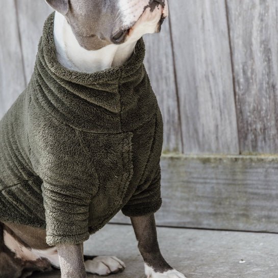 Kentucky Hundesweater Teddy Fleece - Pine Green - animondo.dk