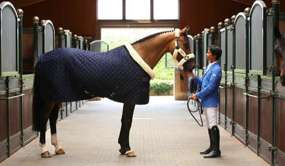 Kentucky Show Rug - Navy - animondo.dk