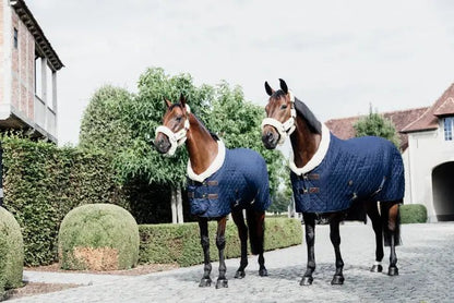 Kentucky Show Rug - Navy - animondo.dk