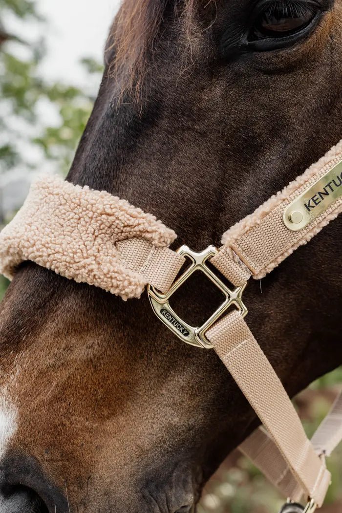 Kentucky Teddy Fleece Halter - animondo.dk