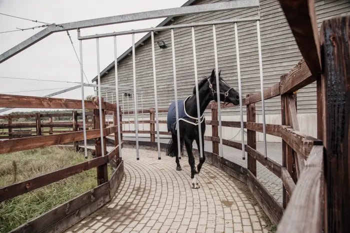 Kentucky Walker Rug Waterproof - Navy - animondo.dk