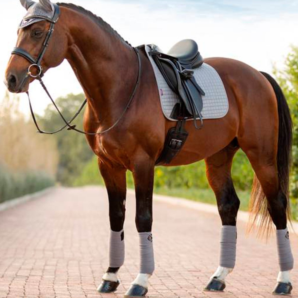 LeMieux Classic Polo Bandager - Grå - animondo.dk