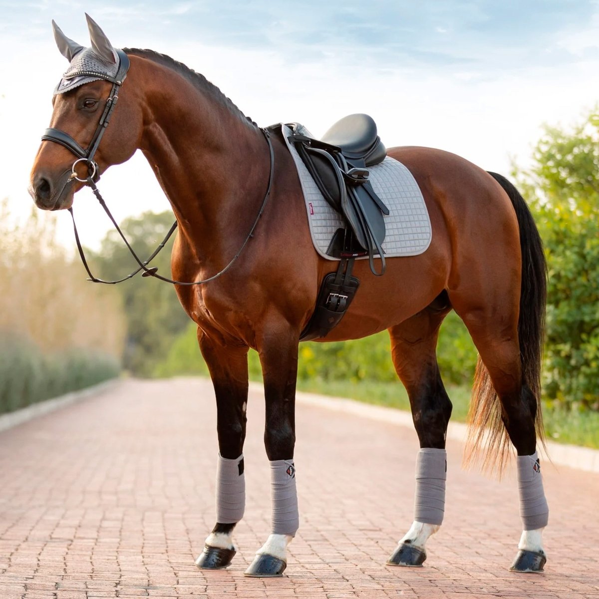 LeMieux Suede Dressage Square Sadelunderlag - Grå - animondo.dk