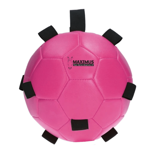 Maximus Fun Play Ball Pink - animondo.dk