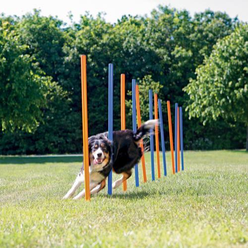 Trixie 12 Agility slalom pinde 115cm - animondo.dk